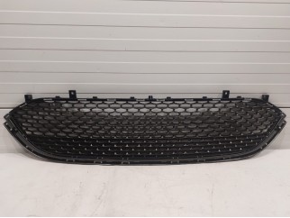 Lower Grille